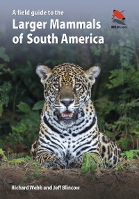 Cover A Field Guide to the Larger Mammals of South America