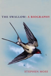 Cover The Swallow : A Biography (Shortlisted for the Richard Jefferies Society and White Horse Bookshop Literary Award)