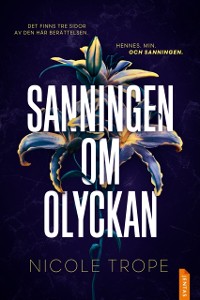 Cover Sanningen om olyckan