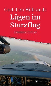 Cover Lügen im Sturzflug