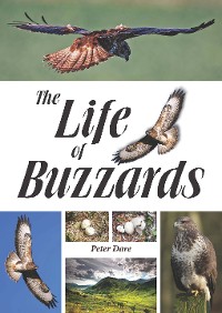 Cover The Life of Buzzards