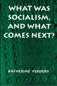 Cover What Was Socialism, and What Comes Next?