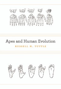 Cover Apes and Human Evolution
