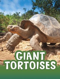 Cover Giant Tortoises