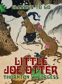 Cover Little Joe Otter