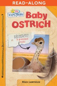 Cover Baby Ostrich