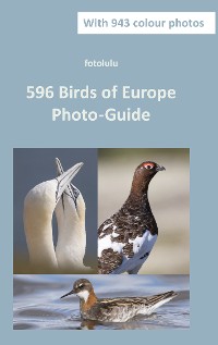 Cover 596 Birds of Europe