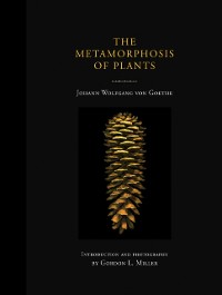 Cover Metamorphosis of Plants