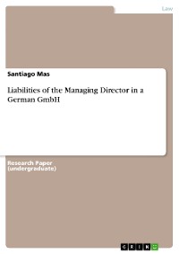 Cover Liabilities of the Managing Director in a German GmbH