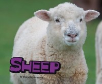 Cover Sheep