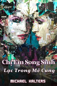 Cover Chị Em Song Sinh - Lạc Trong Mê Cung