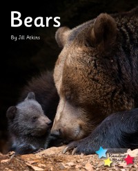 Cover Bears