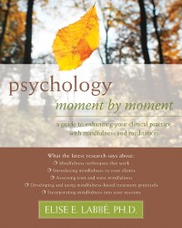 Cover Psychology Moment by Moment