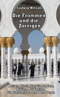 Cover Die Frommen und die Zornigen