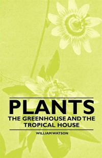 Cover Plants - The Greenhouse and the Tropical House