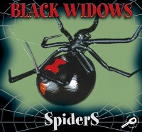 Cover Black Widows