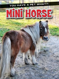 Cover Mini Horse