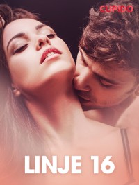 Cover Linje 16 – erotisk novell