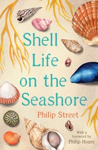 Cover Shell Life on the Seashore