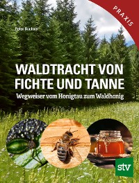 Cover Waldtracht von Fichte und Tanne