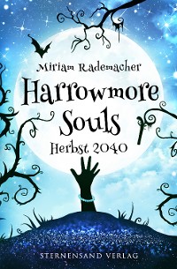 Cover Harrowmore Souls (Band 4): Herbst 2040