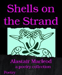 Cover Shells on the Strand