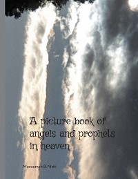 Cover A picture book of Angels and Prophets in Heaven