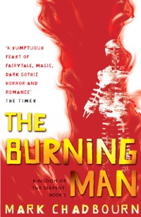 Cover Burning Man