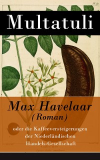 Cover Max Havelaar (Roman)