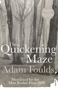 Cover Quickening Maze