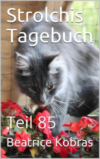 Cover Strolchis Tagebuch - Teil 85