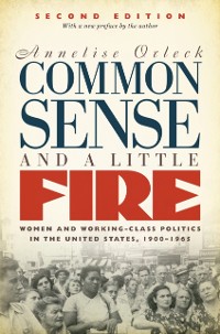 Cover Common Sense and a Little Fire, Second Edition