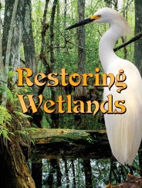 Cover Restoring Wetlands