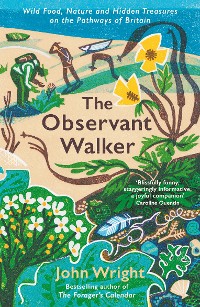 Cover The Observant Walker