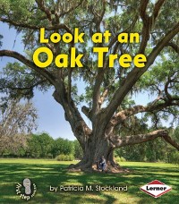 Cover Look at an Oak Tree