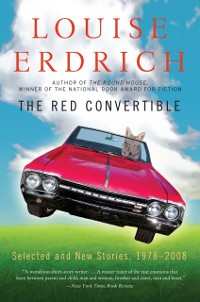 Cover Red Convertible