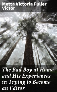 Cover The Bad Boy at Home, and His Experiences in Trying to Become an Editor