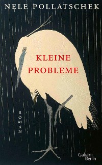Cover Kleine Probleme