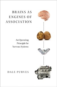 Cover Brains as Engines of Association