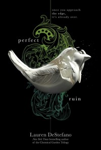 Cover Perfect Ruin