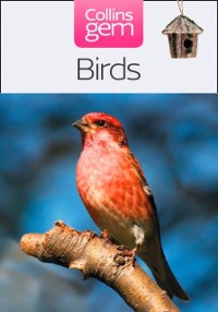 Cover Birds