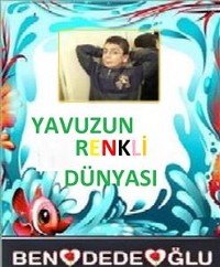 Cover Yavuzun Renkli Dünyası