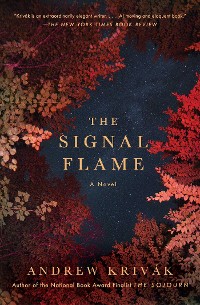 Cover Signal Flame