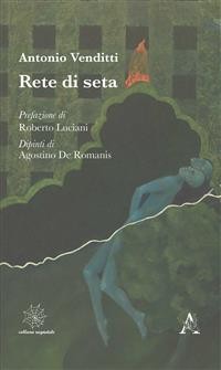 Cover Rete di seta