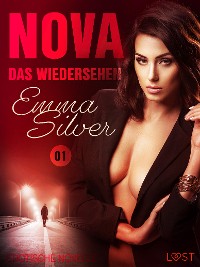 Cover Nova 1 - Das Wiedersehen: Erotische Novelle