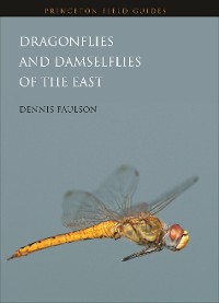 Cover Dragonflies and Damselflies of the East