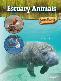 Cover Estuary Animals
