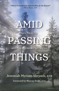 Cover Amid Passing Things