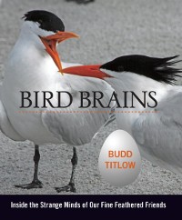 Cover Bird Brains