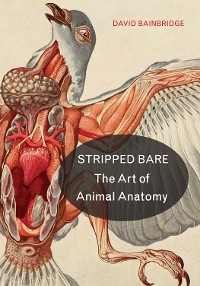 Cover Stripped Bare